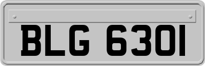 BLG6301