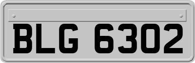 BLG6302