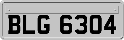 BLG6304