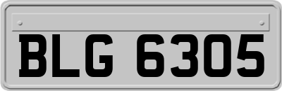 BLG6305