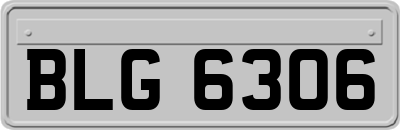 BLG6306
