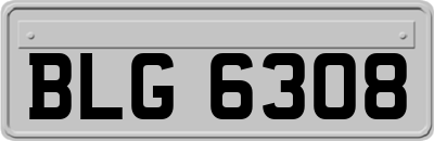 BLG6308