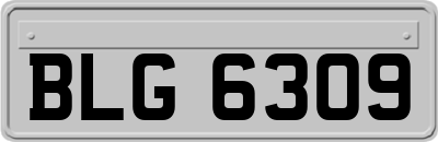 BLG6309