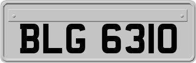 BLG6310