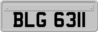 BLG6311