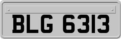 BLG6313