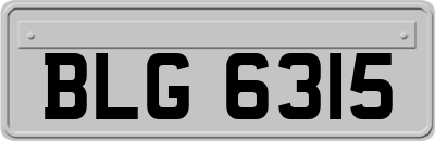 BLG6315