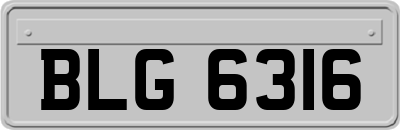 BLG6316