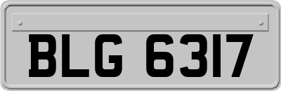 BLG6317
