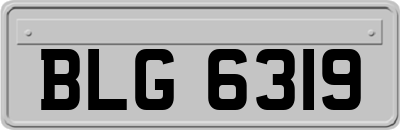 BLG6319