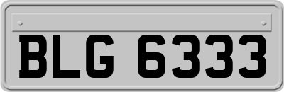 BLG6333