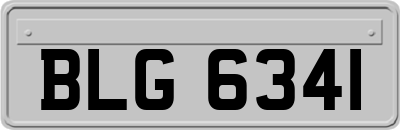 BLG6341