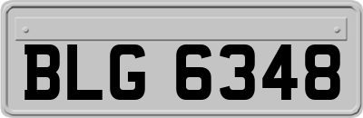 BLG6348