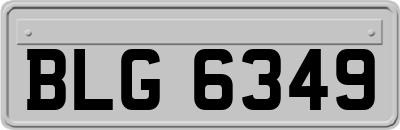 BLG6349