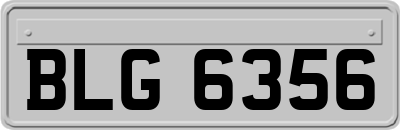 BLG6356