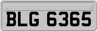 BLG6365