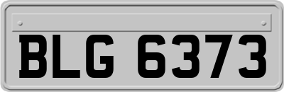 BLG6373
