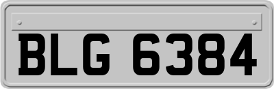 BLG6384