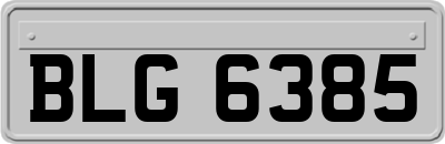 BLG6385