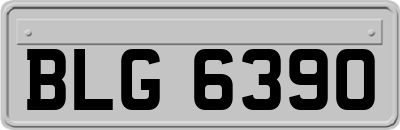 BLG6390