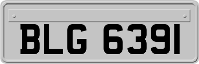 BLG6391