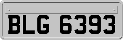 BLG6393