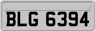 BLG6394