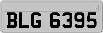 BLG6395