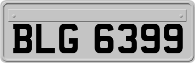 BLG6399