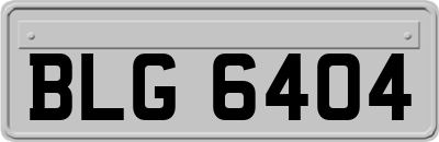 BLG6404