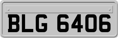 BLG6406