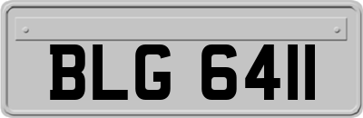 BLG6411