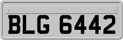 BLG6442