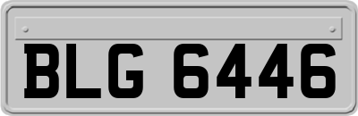 BLG6446