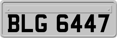 BLG6447