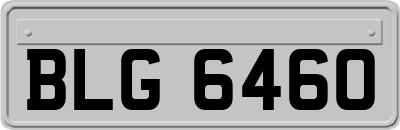 BLG6460