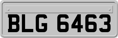 BLG6463