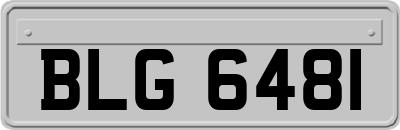 BLG6481