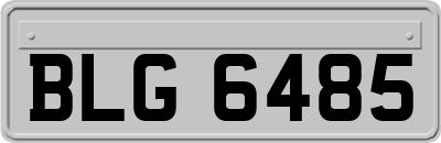 BLG6485