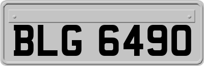 BLG6490