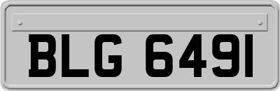 BLG6491