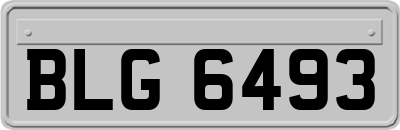 BLG6493