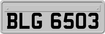 BLG6503