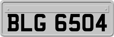 BLG6504