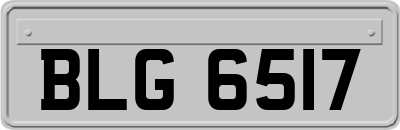 BLG6517