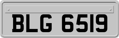 BLG6519