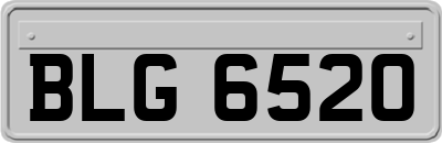 BLG6520