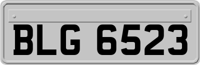BLG6523