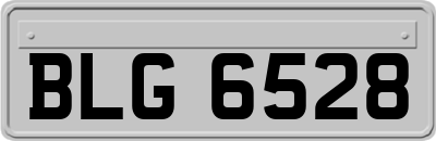 BLG6528