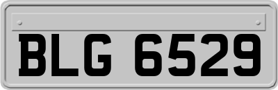 BLG6529